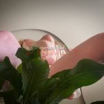 Элитная проститутка Анна Интимсити
