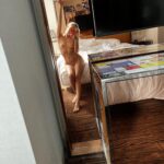 Путана Земфира Интимсити