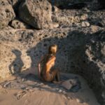 Проститутка Ирина Интимсити